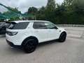 Land Rover Discovery Sport SE AWD Weiß - thumbnail 10