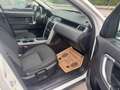 Land Rover Discovery Sport SE AWD Weiß - thumbnail 25
