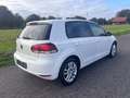 Volkswagen Golf VI Highline 1,2 TSI-Eur5-Navi-Alcantara Weiß - thumbnail 5