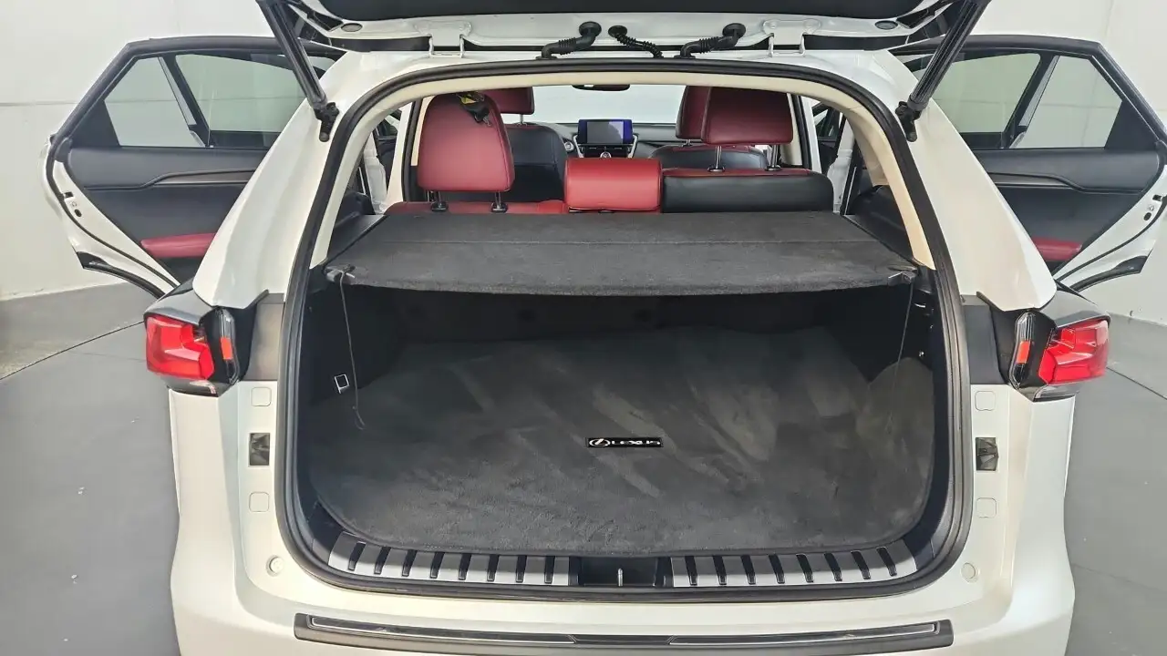 Lexus NX снимка Lexus NX