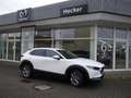 Mazda CX-30 e-SKYACTIV-G 2.0 122 Exclusive-line Sonder-Aktion% Wit - thumbnail 1