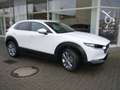 Mazda CX-30 e-SKYACTIV-G 2.0 122 Exclusive-line Sonder-Aktion% Wit - thumbnail 18