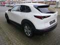 Mazda CX-30 e-SKYACTIV-G 2.0 122 Exclusive-line Sonder-Aktion% Wit - thumbnail 4