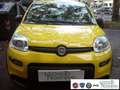 Fiat Panda 1.0 FireFly S&S Hybrid Pandina Urban Km 0 Giallo - thumbnail 3