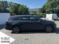 Kia Ceed SW / cee'd SW Ceed SW 1.0 T-GDI 48V Automatik Ultimate Edition Grau - thumbnail 6