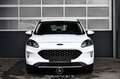 Ford Kuga 1.5 EcoBoost Pickerl NEU Weiß - thumbnail 3