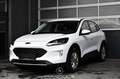 Ford Kuga 1.5 EcoBoost Pickerl NEU Weiß - thumbnail 1