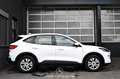 Ford Kuga 1.5 EcoBoost Cool & Connect Pickerl NEU Blanc - thumbnail 5