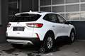 Ford Kuga 1.5 EcoBoost Pickerl NEU Weiß - thumbnail 2
