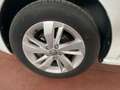 Volkswagen Polo 5p 1.4 tdi FRESH BLUE MOTION TECHNOLOGY Bianco - thumbnail 11