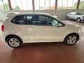 Volkswagen Polo 5p 1.4 tdi FRESH BLUE MOTION TECHNOLOGY Bianco - thumbnail 4