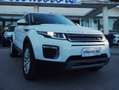 Land Rover Range Rover Evoque Range Rover Evoque 5p 2.0 td 180cv Bianco - thumbnail 1