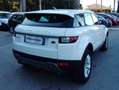 Land Rover Range Rover Evoque Range Rover Evoque 5p 2.0 td 180cv Bianco - thumbnail 6