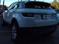 Land Rover Range Rover Evoque Range Rover Evoque 5p 2.0 td 180cv Bianco - thumbnail 8