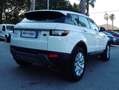 Land Rover Range Rover Evoque Range Rover Evoque 5p 2.0 td 180cv Bianco - thumbnail 7