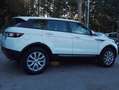 Land Rover Range Rover Evoque Range Rover Evoque 5p 2.0 td 180cv Bianco - thumbnail 10