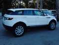 Land Rover Range Rover Evoque Range Rover Evoque 5p 2.0 td 180cv Bianco - thumbnail 9