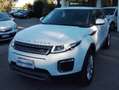 Land Rover Range Rover Evoque Range Rover Evoque 5p 2.0 td 180cv Bianco - thumbnail 3