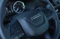 Fiat Ducato Iveco Daily 35S14 PIATTAFORMA AEREA, CESTELLO Blanc - thumbnail 22