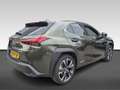 Lexus UX 250h Business Line Groen - thumbnail 4
