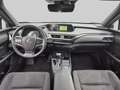 Lexus UX 250h Business Line Groen - thumbnail 22