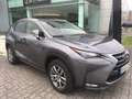 Lexus NX 300h Executive 4WD Tecno + Navibox Grey - thumbnail 3