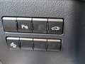 Lexus NX 300h Executive 4WD Tecno + Navibox Szürke - thumbnail 7