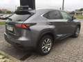 Lexus NX 300h Executive 4WD Tecno + Navibox Gris - thumbnail 2