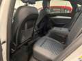 Audi SQ5 SQ5 3.0 tdi mhev 48V quattro tiptronic Bianco - thumbnail 12