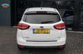 Ford C-Max 1.0 Trend, Camera, Navi, CC, airco, Elek pakket Weiß - thumbnail 24