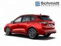 Ford Kuga ST-Line 2,0 Eblue 120PS A8 FWD Rot - thumbnail 4