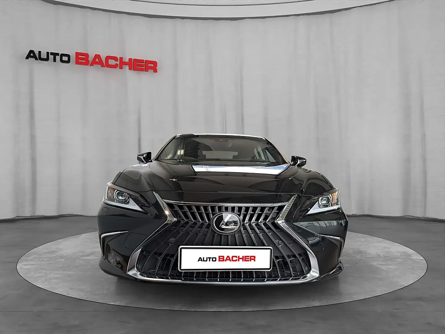 Lexus ES 300 h Business Line / 8-Fach bereift Schwarz - 2