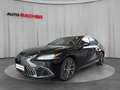 Lexus ES 300 h Business Line / 8-Fach bereift Schwarz - thumbnail 1