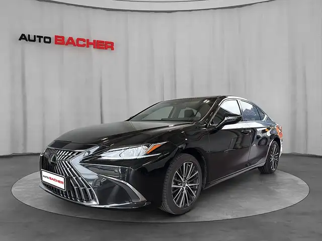 Lexus ES 300 h Business Line / 8-Fach bereift