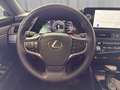 Lexus ES 300 h Business Line 218 PS / 8-Fach bereift Schwarz - thumbnail 9
