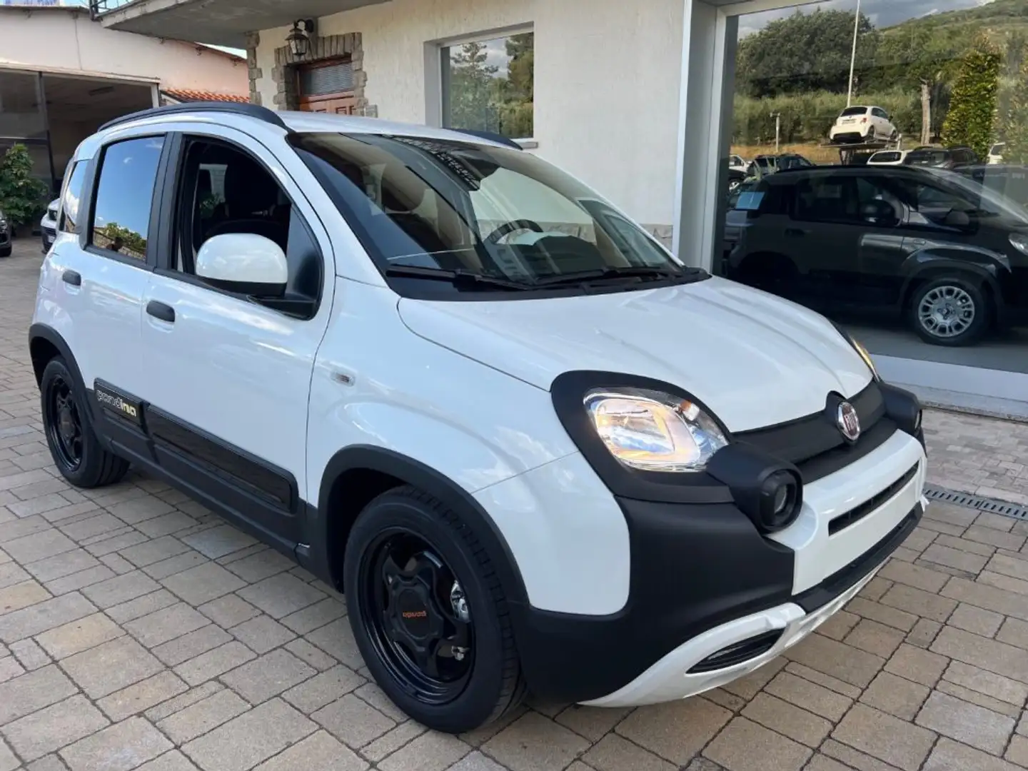Fiat Panda 1.0 FireFly S&S Hybrid Pandina CROSS Wit - 1