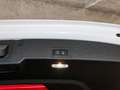 Audi A5 TDI 150kW quattro S-Tronic Weiß - thumbnail 8