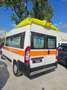Fiat Ducato 250 Ambulanza Blanc - thumbnail 5