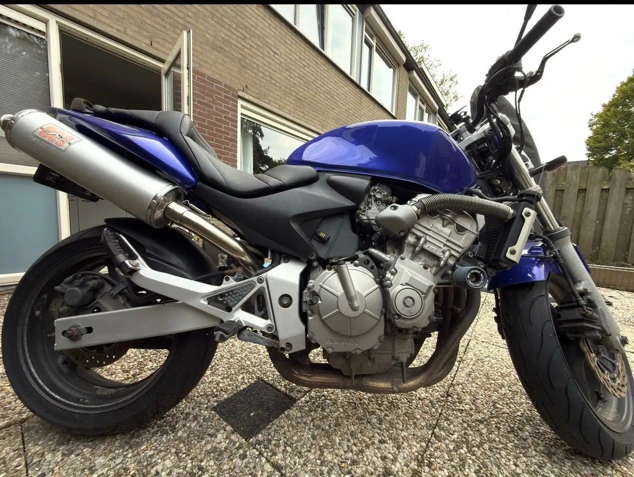 Honda Hornet