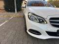 Mercedes-Benz E 250 E 250 BlueTEC 4Matic 7G-TRONIC Avantgarde - thumbnail 11