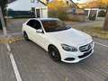 Mercedes-Benz E 250 E 250 BlueTEC 4Matic 7G-TRONIC Avantgarde - thumbnail 3