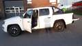 Volkswagen Amarok Amarok 3.0 TDI 4MOTION Dark Label Weiß - thumbnail 14