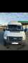 Ford Transit Transit  2,4 TDCi Klima Weiß - thumbnail 1