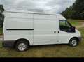Ford Transit Transit  2,4 TDCi Klima Weiß - thumbnail 2