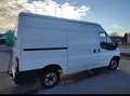 Ford Transit Transit  2,4 TDCi Klima Weiß - thumbnail 2