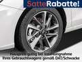 Hyundai i30 FL 5-Türer 1.0 T-GDi  6-MT 2WD ADVANTAGE Navi Weiß - thumbnail 8