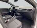 Ford Focus Turnier 1.0 Hybrid Aut. ST-LINE *AHK *PANO * Argento - thumbnail 11