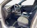 Ford Focus Turnier 1.0 Hybrid Aut. ST-LINE *AHK *PANO * Silber - thumbnail 7