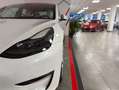Tesla Model 3 Gran Autonomía 4WD Blanco - thumbnail 35