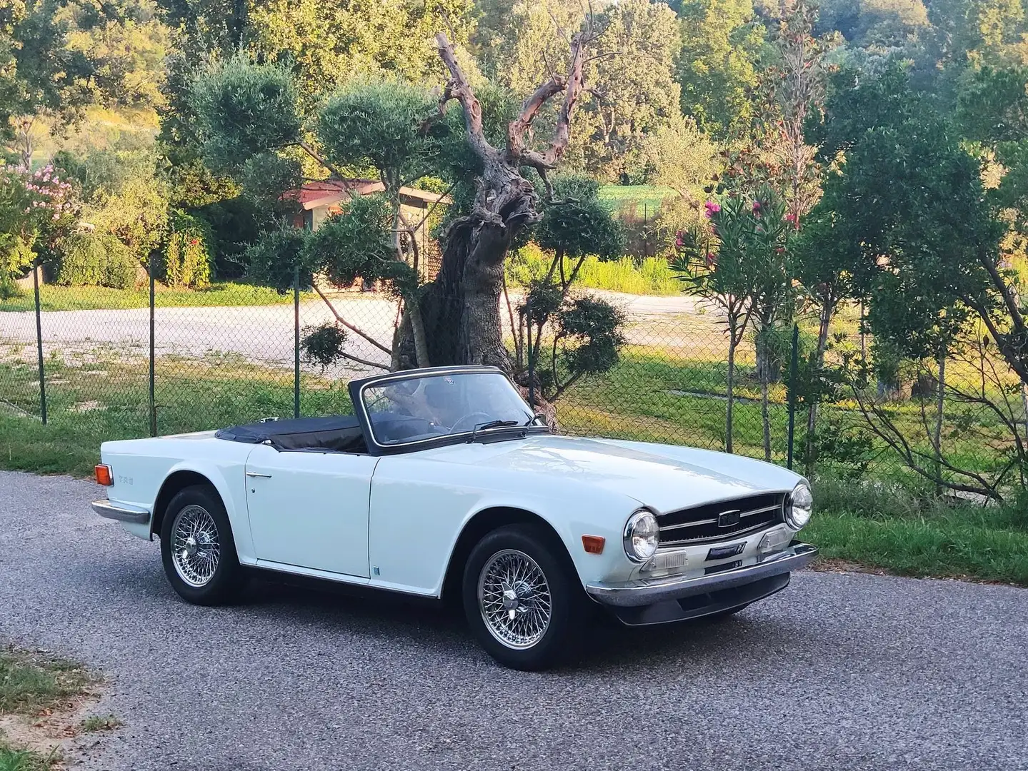 Triumph TR6 PI injection - 2